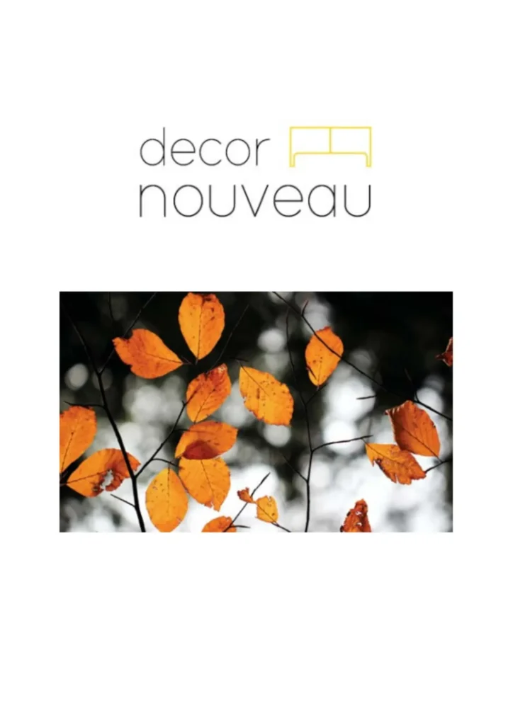 decor-nouveau-auxiliares-2021
