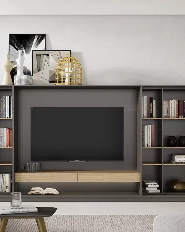 composicion-libreria-para-tv-ideas-708-a-brito-en-salon-moderno
