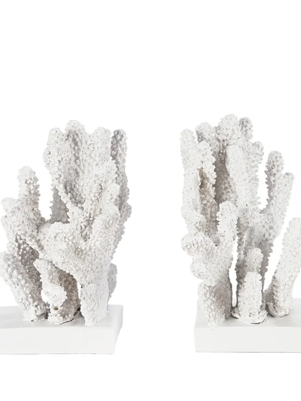 sujetalibros-decorativo-blanco-coral-fondo-blanco-frontal