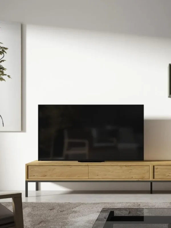 Composicion-salon-TV-C02-detalle-1