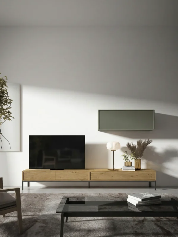 Composicion-salon-TV-C02-principal